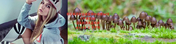 mdpv Мегион