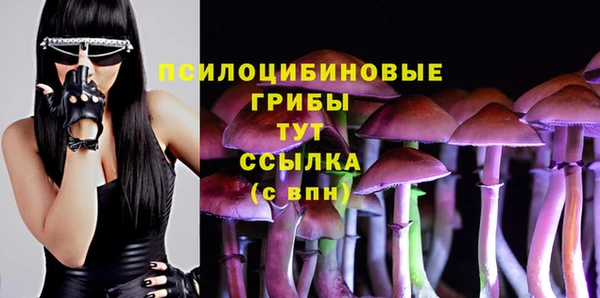 винт Михайловка