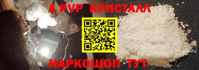 спайс Гагарин
