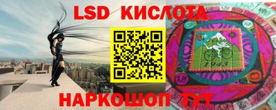 apvp Гатчина