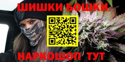 спайс Гагарин