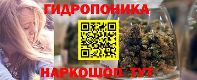 спайс Гагарин