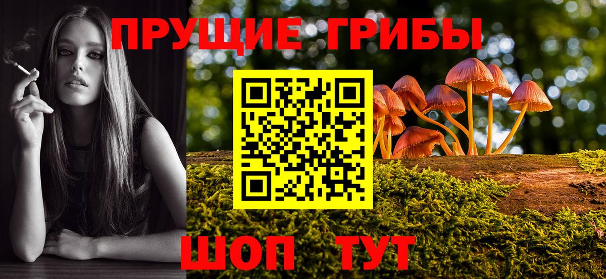 Галлюциногенные грибы GOLDEN TEACHER  Вход с VPN  Ковров 