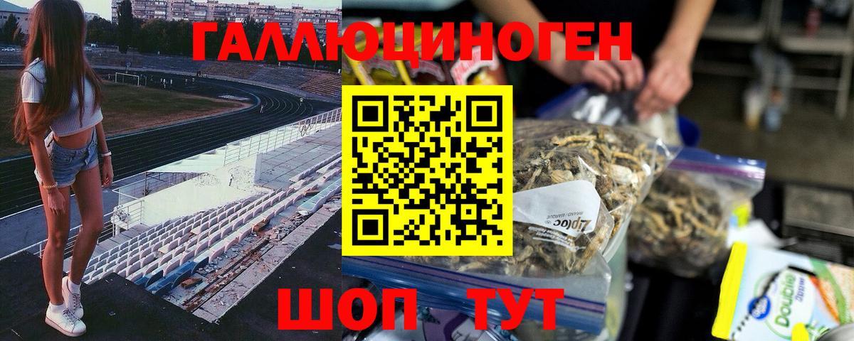 Псилоцибиновые грибы мицелий Ковров