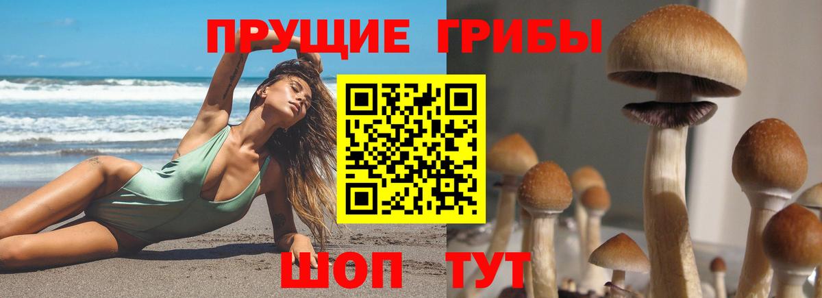 Галлюциногенные грибы мицелий  Ковров 