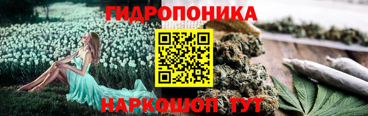Конопля LSD WEED  Бошки марихуана сатива  Вход с VPN  МАРИХУАНА сатива  МАРИХУАНА индика  Ковров 
